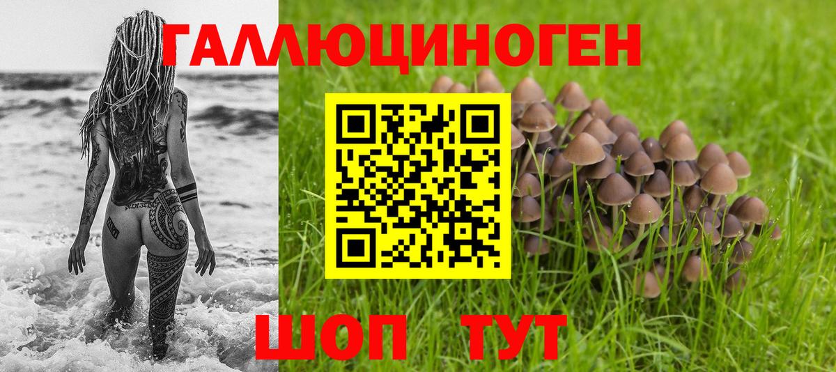 Галлюциногенные грибы прущие грибы Городец